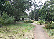 【公園】八千代台北市民の森まで232ｍ