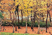 【公園】南山公園まで1121ｍ