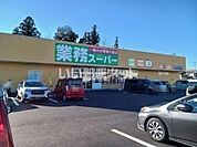【スーパー】業務スーパー　石岡東大橋店まで1118ｍ