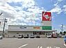周辺：【ドラッグストア】スギ薬局 碧南城山店まで575ｍ
