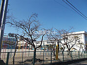 【小学校】岐阜市立長良西小学校まで271ｍ