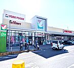 【スーパー】ヨークフーズ六高台店まで868ｍ