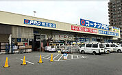 【ホームセンター】コーナンプロ堺三宝店まで263ｍ