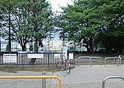 【公園】北朝霞公園まで1136ｍ