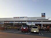 【ホームセンター】ナフコ　本渡店まで462ｍ