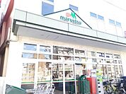 【スーパー】マルエツ 新江古田駅前店まで513ｍ