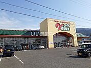 【スーパー】フレッシュバリュー三島店まで897ｍ