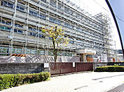 【小学校】多治見市立昭和小学校まで743ｍ