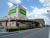 【スーパー】 コープみらい武蔵浦和店まで3067ｍ