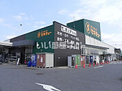 【ホームセンター】セキチュー　柏の葉十余二店まで986ｍ