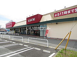 [周辺] 【スーパー】KASUMI(カスミ) 大芝店まで1647ｍ