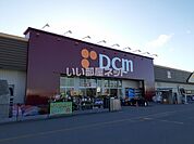 【ホームセンター】ＤＣＭ沼ノ端店まで1197ｍ
