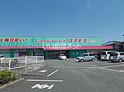 【ドラッグストア】ディスカウントドラッグコスモス菊南店まで701ｍ