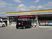 【コンビニエンスストア】ミニストップ桝塚店まで1291ｍ