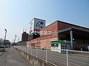 【スーパー】FRESTA(フレスタ) 広店まで458ｍ