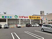【ドラッグストア】スギドラッグ 東御幸店まで558ｍ