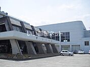 【中学校】福井市立社中学校まで813ｍ