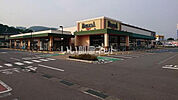 【スーパー】デリシア 丸子店まで1947ｍ