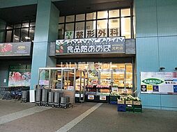 [周辺] 【スーパー】食品館あおば 元町店まで1477ｍ