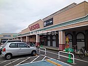 【スーパー】フジ 垣生店まで1173ｍ