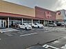 周辺：【スーパー】原信 豊栄店まで1102ｍ