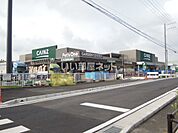 【ホームセンター】カインズ 清水店まで589ｍ