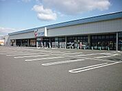 【ドラッグストア】カワチ薬局大槻店まで1640ｍ