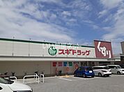 【ドラッグストア】スギドラッグ彦根東店まで799ｍ