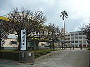 【小学校】指宿市立丹波小学校まで451ｍ