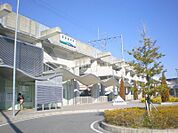 【駅】愛環梅坪まで1247ｍ