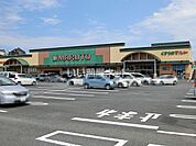 【ドラッグストア】マルト　田尻店まで649ｍ