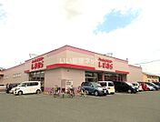【その他】ファッションセンターしまむらまで265ｍ