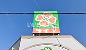 【スーパー】ライフ 崇禅寺店まで897ｍ