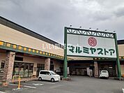 【スーパー】マルミヤストア小林店まで1103ｍ