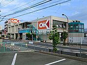 【スーパー】オーケー　伊勢原店まで764ｍ