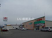 【ドラッグストア】クスリのアオキ 北浅井店まで655ｍ