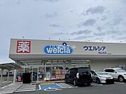 【ドラッグストア】ウエルシア　岡山浜店まで612ｍ