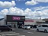 周辺：【ドラッグストア】ディスカウントドラッグコスモス 東大阪加納店まで340ｍ