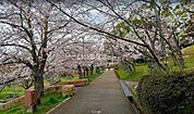 【公園】黒鳥山公園まで1188ｍ