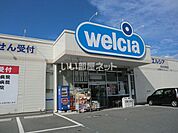 【ドラッグストア】ウエルシア渋川行幸田店まで3075ｍ