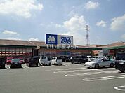 【ドラッグストア】マルエドラッグ吉岡店まで2039ｍ