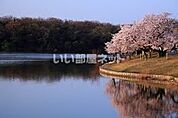 【公園】洲原公園まで484ｍ