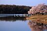 周辺：【公園】洲原公園まで2925ｍ