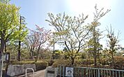 【公園】日吉台公園まで909ｍ