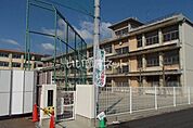 【小学校】今治市立乃万小学校まで330ｍ