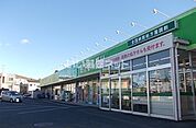 【ドラッグストア】ドラッグ・エース箭弓町店まで1107ｍ