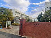 【小学校】南子安小学校まで424ｍ