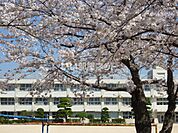 【小学校】下関市立小月小学校まで1384ｍ