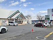 【その他】Seria 別府店まで873ｍ