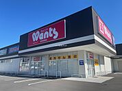 【ドラッグストア】ウォンツ防府松崎店まで742ｍ
